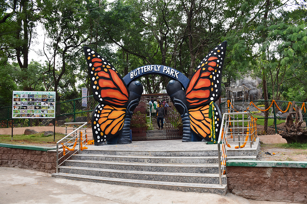 Unforgettable Meet With 1500 Species In Nehru Zoological Park
